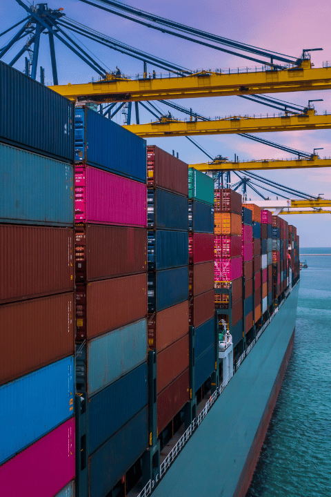 export (1)